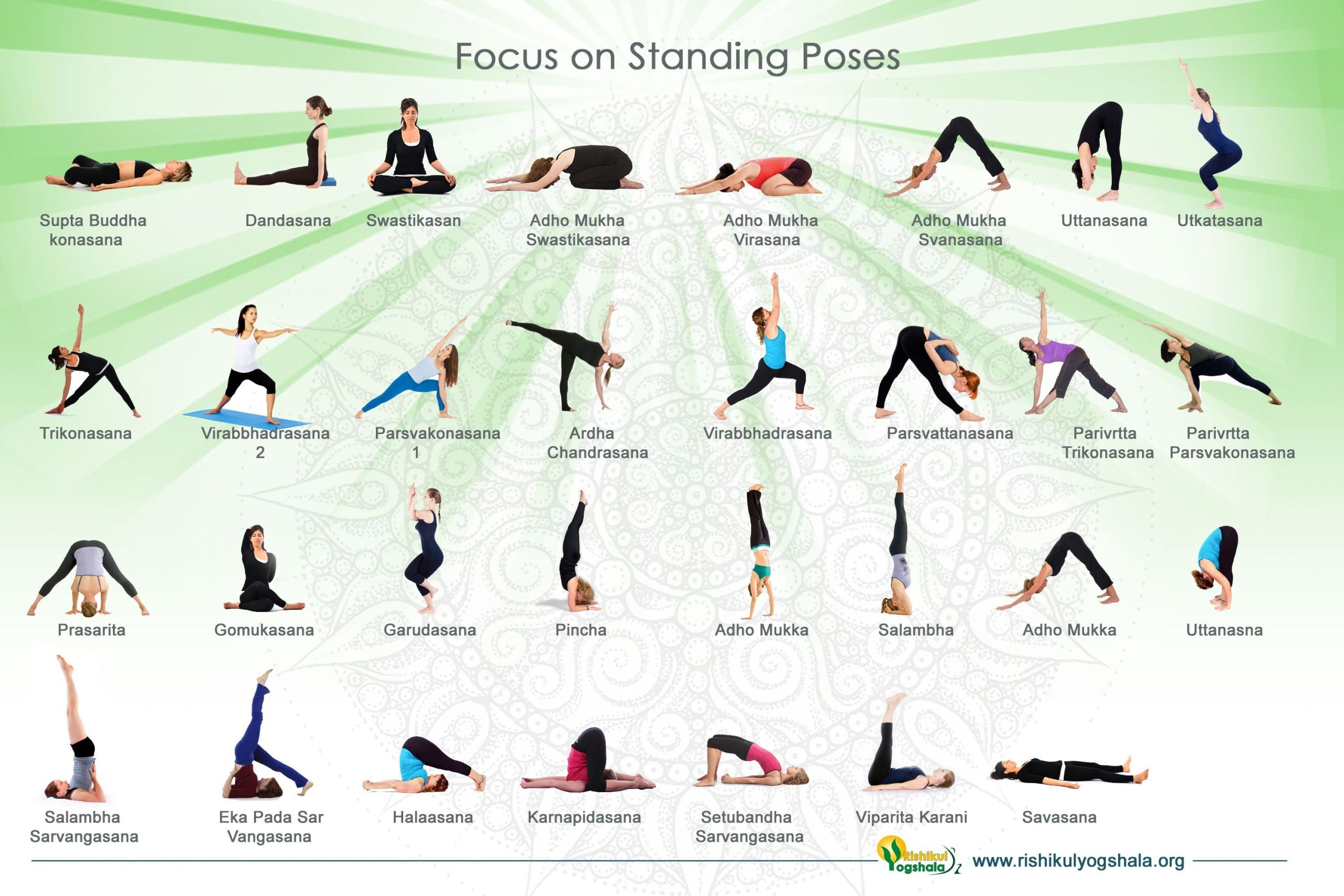 Exploring Different Types of Yoga Practices